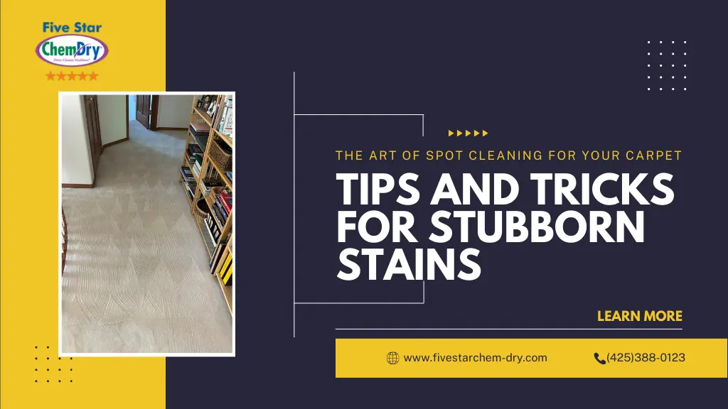 The Art of Spot Cleaning for your carpet: Tips and Tricks for Stubborn Stains