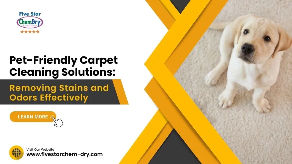 Pet-Friendly Carpet Cleaning Solutions: Removing Stains and Odors Effectively