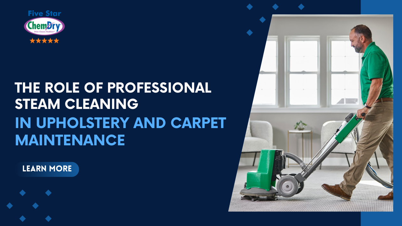 The Role of Professional Steam Cleaning in Upholstery and Carpet Maintenance