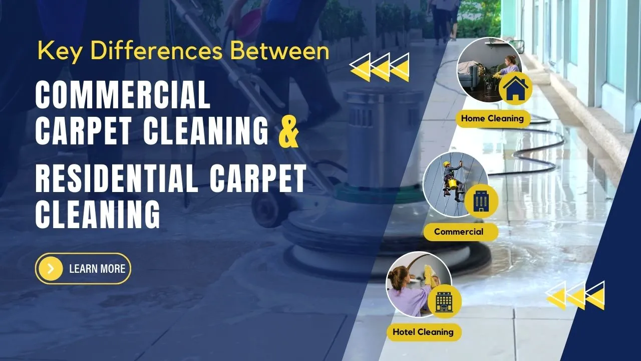 Commercial vs. Residential Carpet Cleaning: Key Differences