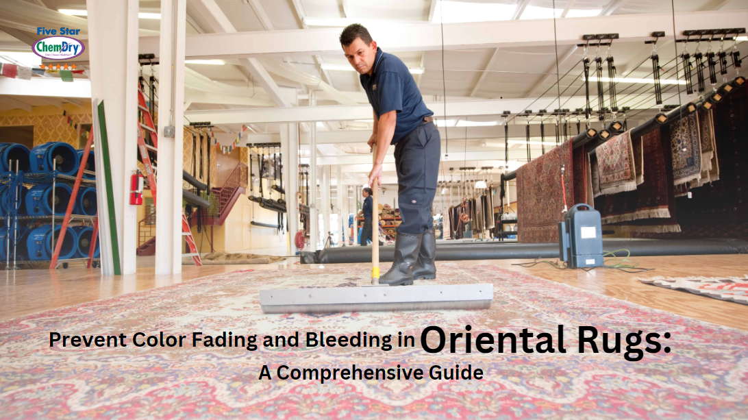 Prevent Color Fading and Bleeding in Oriental Rugs: A Comprehensive Guide