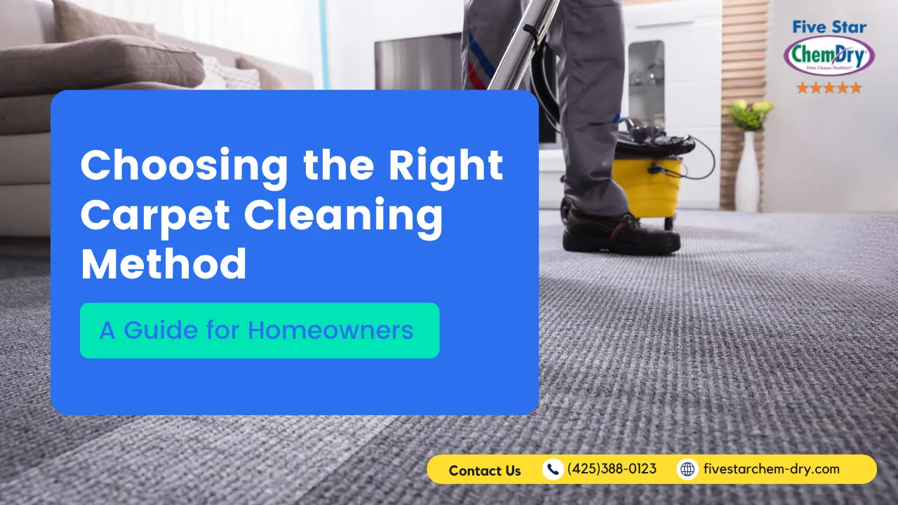 Choosing the Right Carpet Cleaning Method: A Guide for Homeowners