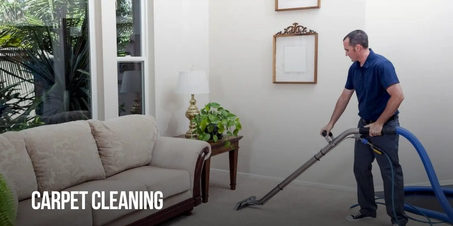 Spot vs Whole Carpet Cleaning: Understanding the Differences and When Each Is Necessary