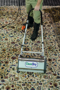 Professional area rug cleaning