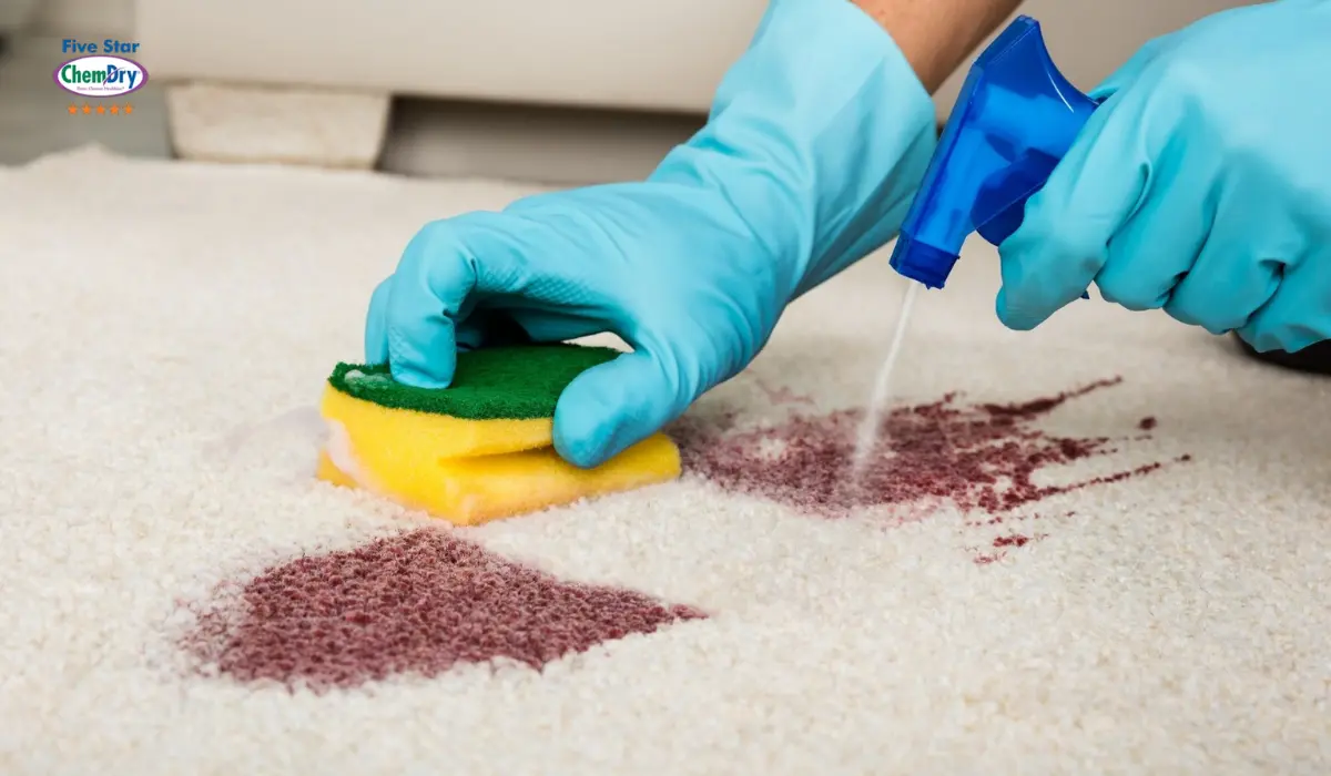 Taming Carpet Troubles: A Guide to Effective Carpet Cleaning in Everett
