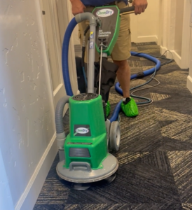 Deep Carpet Cleaning for Allergies in Everett