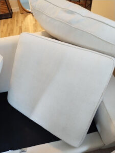 Professional Upholstery Cleaning