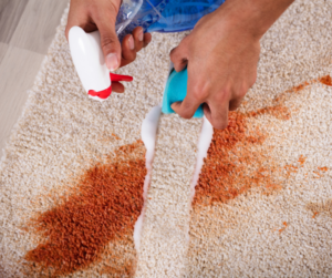 Carpet Stain Removal