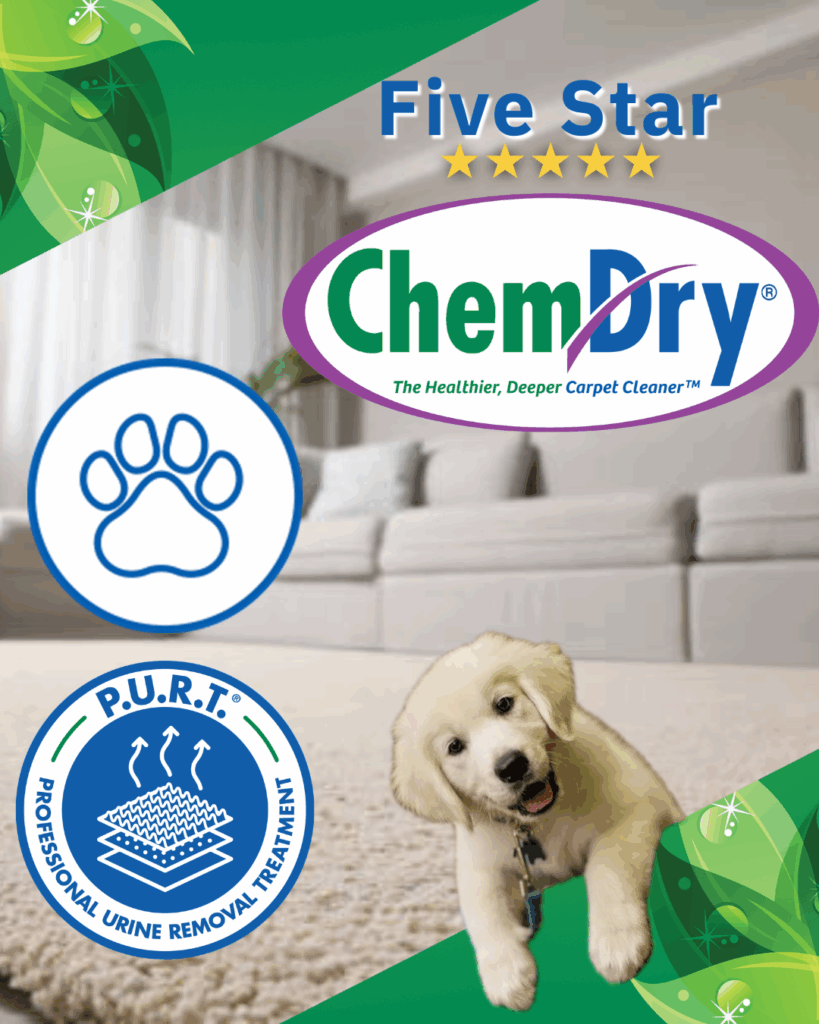 Chem-Dry P.U.R.T.® process eliminates pet odors at the source.